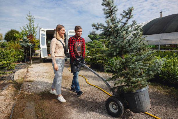 Best Weed Control  in New Castle Northwest, PA